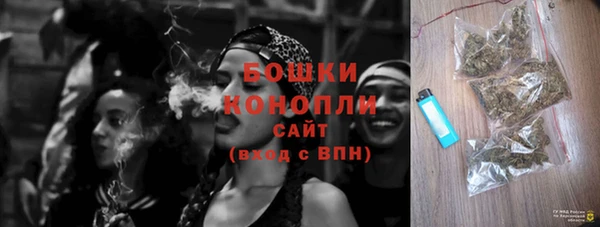 ГАЛЛЮЦИНОГЕННЫЕ ГРИБЫ Алексеевка