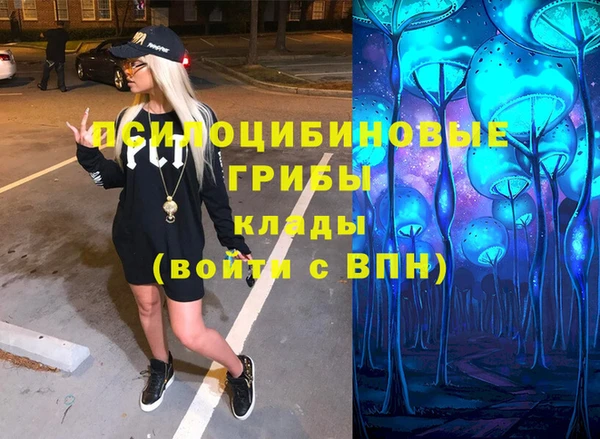 спайс Алзамай