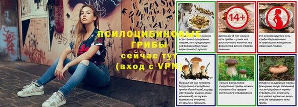 спайс Алзамай