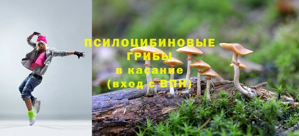 мяу мяу мука Алексин